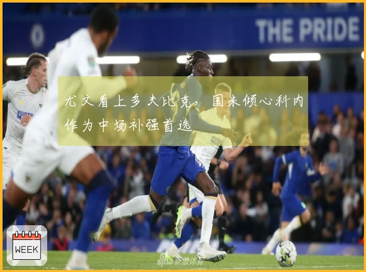 尤文看上多夫比克，国米倾心科内作为中场补强首选